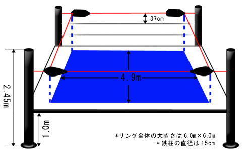リング概要